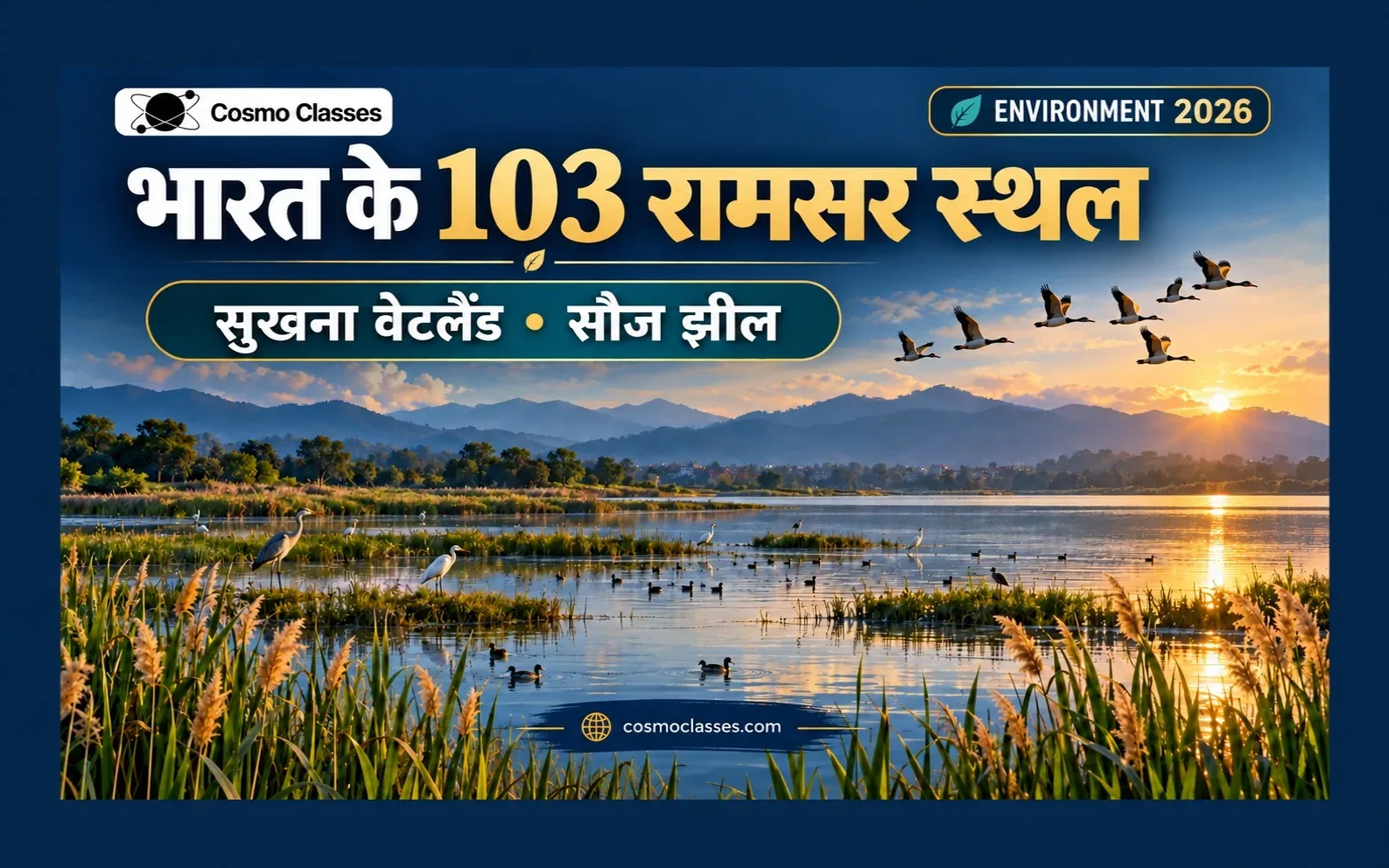भारत के 103 रामसर स्थल: सुखना वेटलैंड और सौज झील पर आर्द्रभूमि व पक्षियों का सांकेतिक चित्र